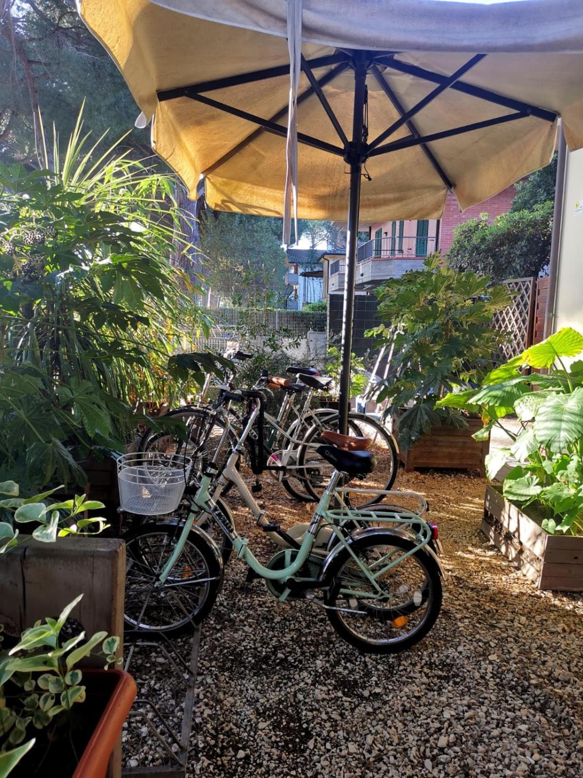 Casa Dorita - Free Breakfast Corner 8-12 Hotel Cervia Bagian luar foto