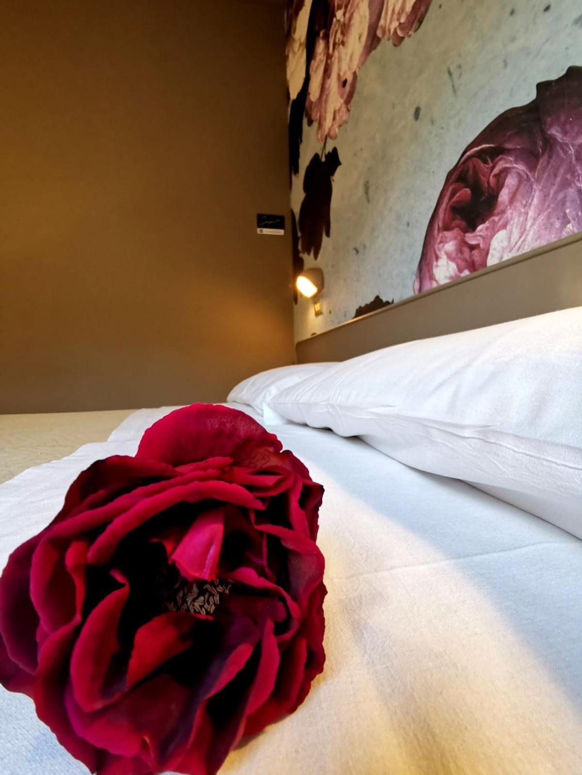 Casa Dorita - Free Breakfast Corner 8-12 Hotel Cervia Bagian luar foto